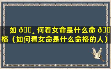 如 🌸 何看女命是什么命 🍀 格（如何看女命是什么命格的人）